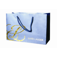 Promotion Cutom Color Printing Paper Gift Bag